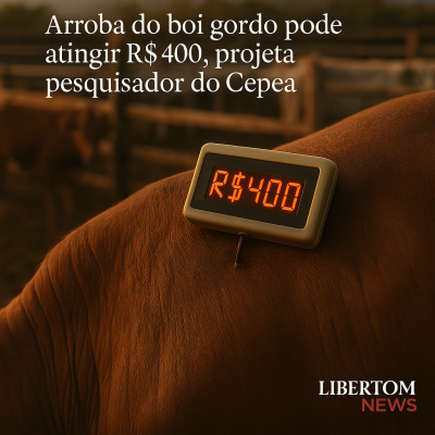 Arroba do boi gordo pode atingir R$400, projeta pesquisador do Cepea